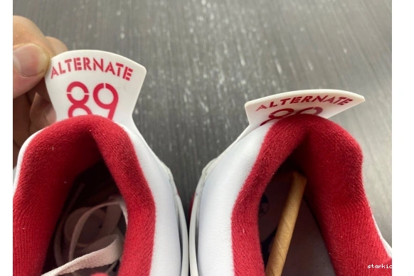 308497-106 308497-106 Jordan Retro 89 Alternate 4 0429